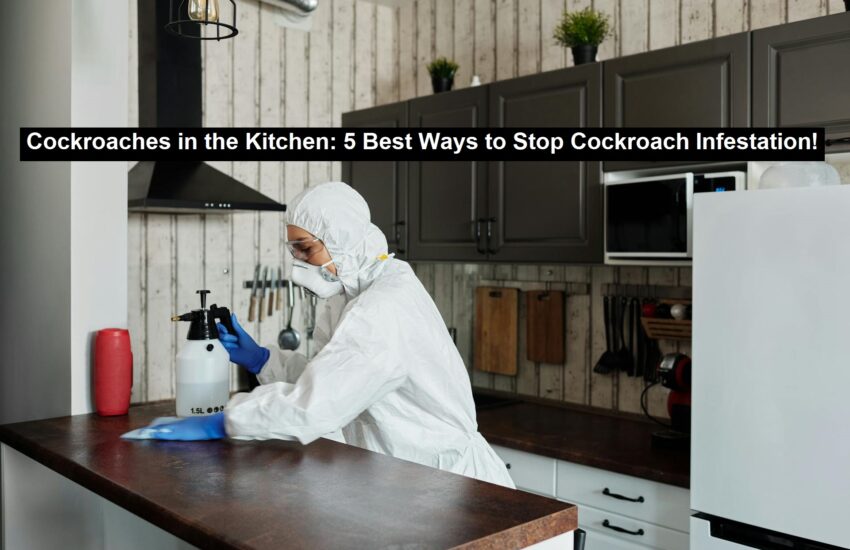 Stop Cockroach Infestation